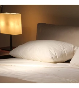 Régen látott szállóvendégek érkeznek?