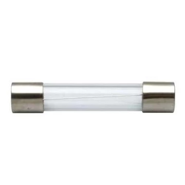 SR FUSE GLASS 5A